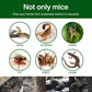 🔥HOT SALE🔥Household Mon-woven Strong Trap Sticky Mouse Blanket