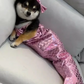 Mermaid Tail Pet Costume - Adorable Fishtail Outfit for Cats and Small Dogs