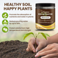 🔥BUY 1 GET 1 FREE🔥Seasonal promotion-Soil Pro Activator