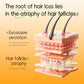 Anti-Hair Loss Shampoo