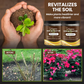 🔥BUY 1 GET 1 FREE🔥Seasonal promotion-Soil Pro Activator