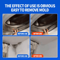 🔥LAST DAY PROMOTION 50% OFF 🏡Highly Effective Mould Removal Spray - Prevents Mould Regrowth
