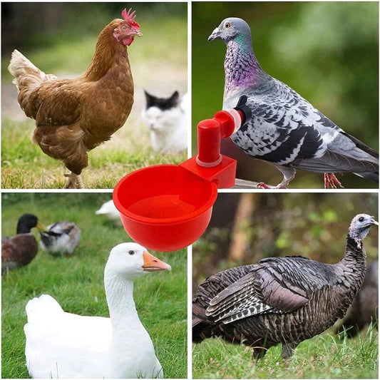 🔥🔥Gift For Chicken Lovers 49% OFF--🔥Automatic Chicken Water Cup Bird Coop