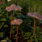 Antique Iron Lotus Leaf Garden Stake