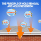 🔥LAST DAY PROMOTION 50% OFF 🏡Highly Effective Mould Removal Spray - Prevents Mould Regrowth