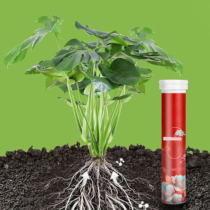 All-Purpose Slow-Release Tablet Fertilizer for Plants