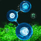 🌱【Algae King】Crazy Aquatic Weed Algae Remover