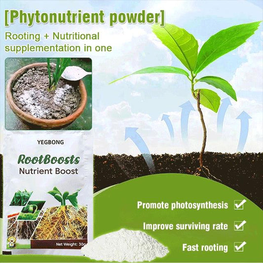 🔥Plant Hair Root Growth Nutrition Powder