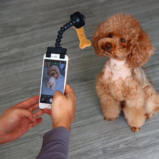 Flexible Gooseneck Clip for Attractive Pet Photos success