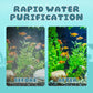 💦Limited Time Half Price-Aquarium Silent Motorized Filter✨