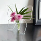 🔥Summer Hot Sale 50% OFF🦋Transparent Butterfly-Inspired Decorative Vase