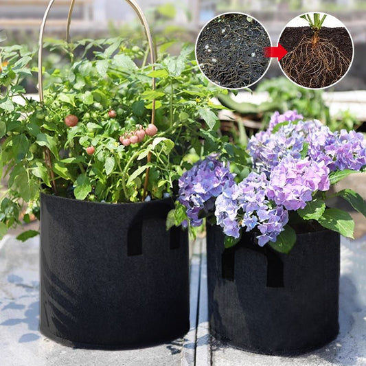 🔥50% OFF🔥Micro Aerated Geotextile Plant Grow Bag