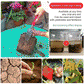 🔥BUY 1 GET 1 FREE🔥Seasonal promotion-Soil Pro Activator