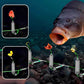 🏆✨🐟3 Hooks Anti Drift Bottom Fishing Rig