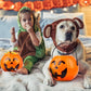 Portable Halloween Pumpkin Candy Bucket with Handle