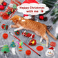 🎄🎁2025 Christmas Countdown Cat & Dog Toys Advent Calendar🐾🥳