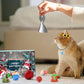 🎄🎁2025 Christmas Countdown Cat & Dog Toys Advent Calendar🐾🥳