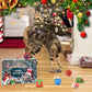 🎄🎁2025 Christmas Countdown Cat & Dog Toys Advent Calendar🐾🥳