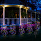 🌈 LIMITED-TIME 49% OFF! ✨ Solar Garden Lights Outdoor Decor – 100 LEDs, IP55 Waterproof, Easy Install 🌙