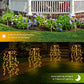 🌈 LIMITED-TIME 49% OFF! ✨ Solar Garden Lights Outdoor Decor – 100 LEDs, IP55 Waterproof, Easy Install 🌙