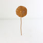 Antique Iron Lotus Leaf Garden Stake