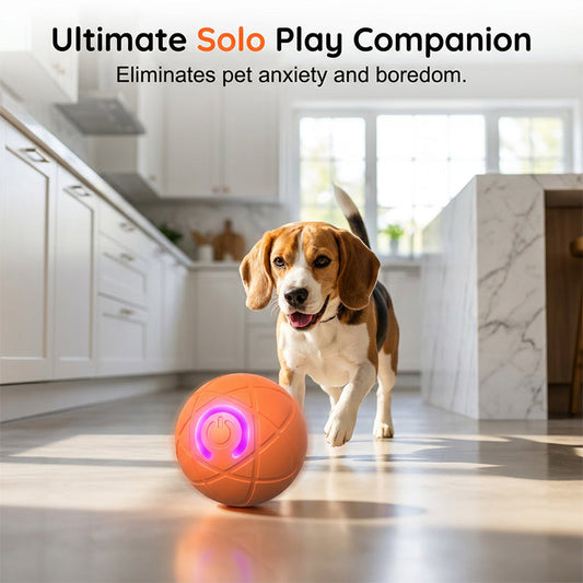 🐕60% OFF FLASH SALE! ✨Auto Bouncing Smart Pet Ball