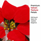 🎄 Christmas Poinsettia String Lights – Add a Warm Holiday Glow ✨