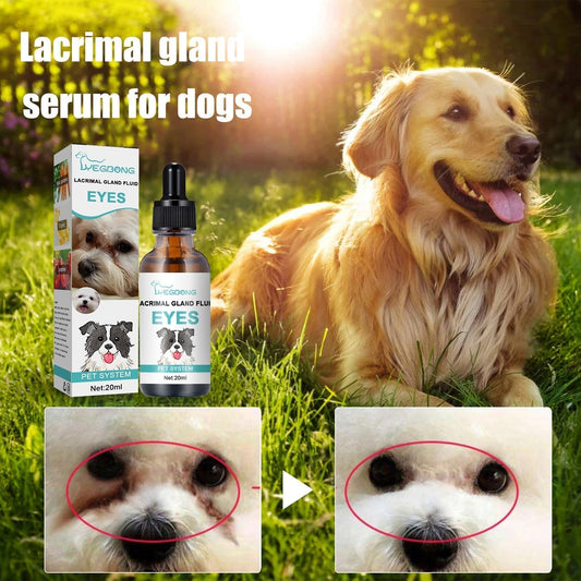 🐱🐶Pet Eye Cleaner & Drops – Gentle pH‑balanced formula, safe for dogs & cats. Soothes redness, removes tear stains & daily dirt. No peroxide! 🌿💧