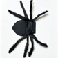  🦇Halloween Pet Spider Costume Scary Plush Dog Cat Transformation Outfit🐱🐶