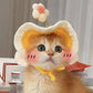 Cute Knitted Pet Hat