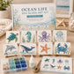 DIY Sea Glass Ocean Mosaic Art Kit