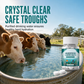 Livestock Water Purifying Tablets for Tank and Pond Water
