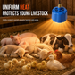 Pet Heat Lamp with Temperature Control