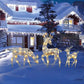 LED Christmas Reindeer Set with Bows – Decorative Reindeer Family for Indoors and Outdoors