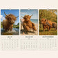 2027 Grumpy Highland Cows A4 Wall Calendar