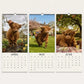 2027 Grumpy Highland Cows A4 Wall Calendar