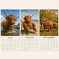 2027 Grumpy Highland Cows A4 Wall Calendar